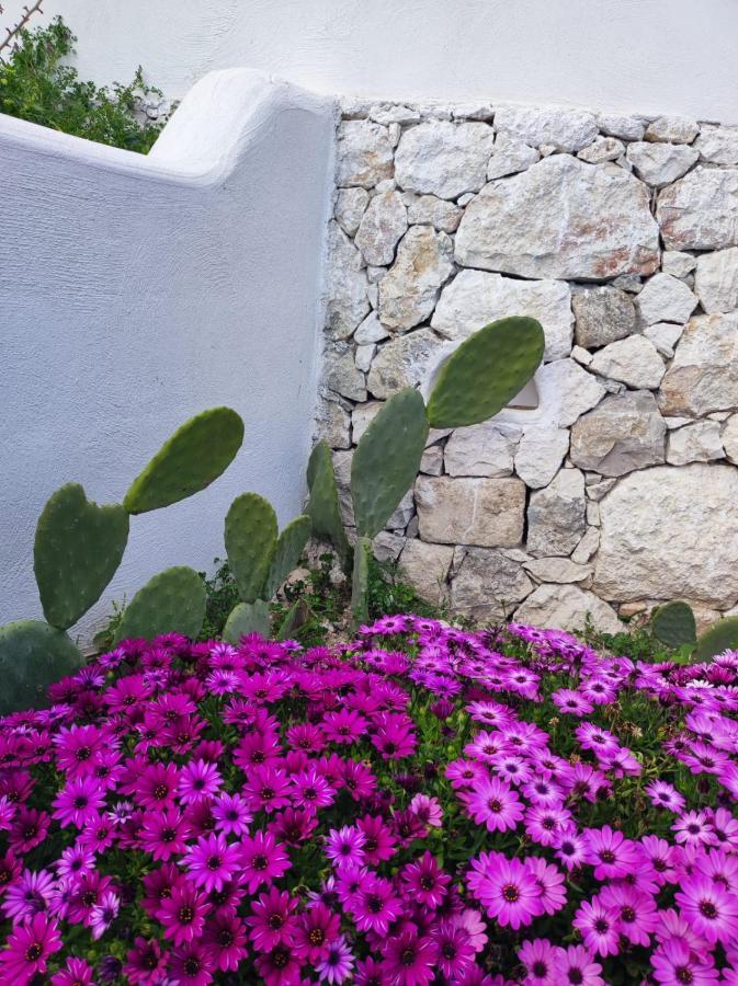 Dimora Mediterranea Mattinata Exterior photo